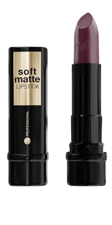 Professional Soft Matte Lipstick 6