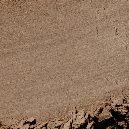 Pumpkin Spicy Bronze Powder 01 Spicy caramel