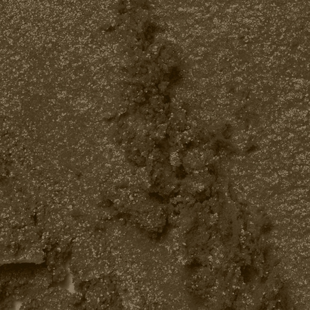 Professional Pressed Pigment Palette