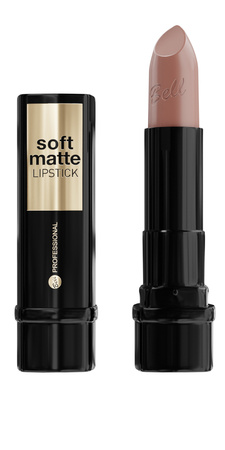 Professional Soft Matte Lipstick 3