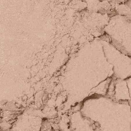 Professional Face Modeller 1