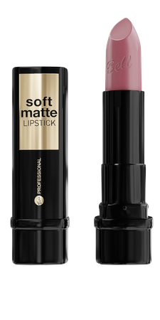 Professional Soft Matte Lipstick 4