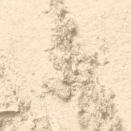 Professional Pressed Pigment Palette