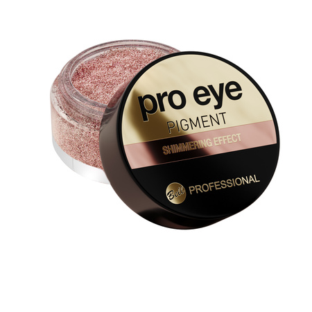 Professional Eye Pigment 2