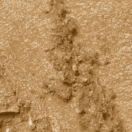 Professional Pressed Pigment Palette