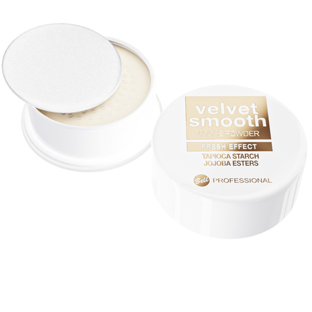 Professional  Velvet Smooth Loose Powder