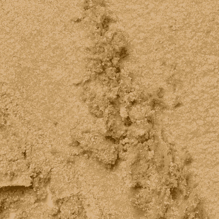 Professional Pressed Pigment Palette