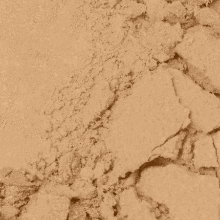 Professional Shine Bronze 02