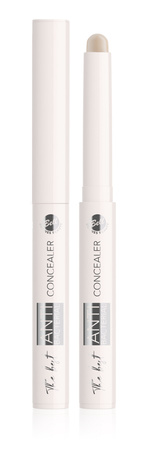 The Best Stick Antibacterial Concealer 01 Ivory