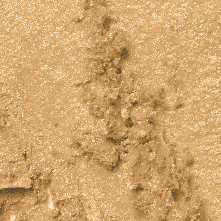 Professional Pressed Pigment Palette