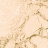 Professional Moist Face Powder 2
