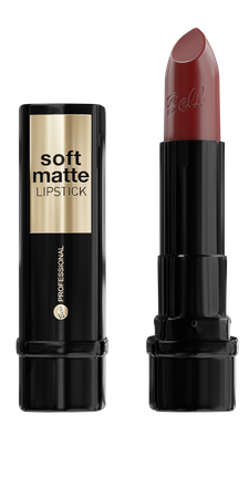 Professional Soft Matte Lipstick 5