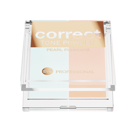 Professional Correct Tone Powder