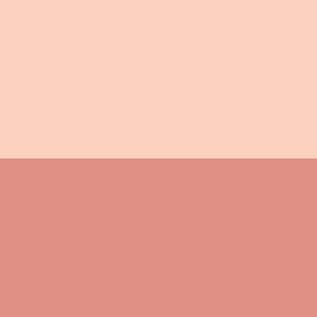 Blush & Highlighter 01 Rose light
