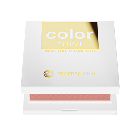 Professional Color Blush 1