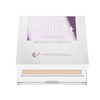 Professional Blur Perfect Powder 2