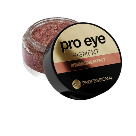 Professional Eye Pigment 4