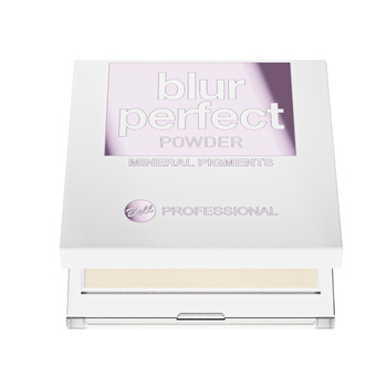 Professional Blur Perfect Powder 1