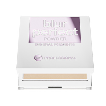 Professional Blur Perfect Powder 2