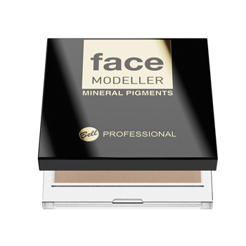 Professional Face Modeller 2