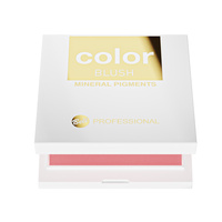 Professional Color Blush 2