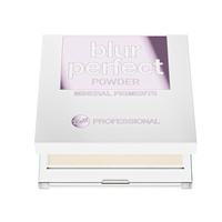 Professional Blur Perfect Powder 1