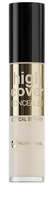 Professional High Cover Concealer 2
