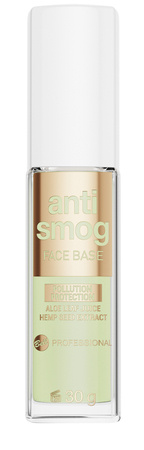 Professional Face Base Anti-Smog